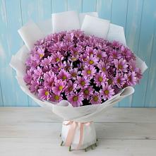 Букет цветов из:  Хризантемы в Шульгино
